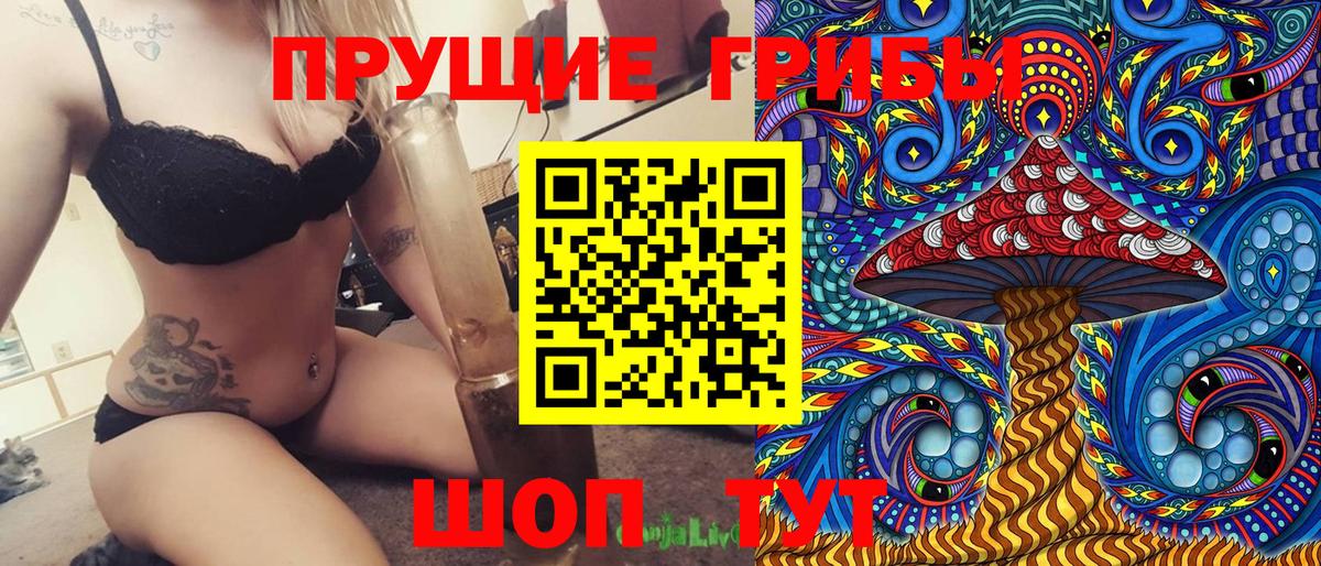 Галлюциногенные грибы Psilocybine cubensis Вольск