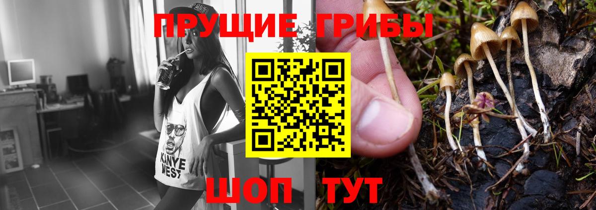 Псилоцибиновые грибы мухоморы  Галлюциногенные грибы мухоморы  Вольск  Вход с VPN 